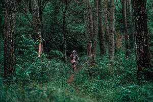 BIB: 
                            <button type="button" onclick="openModal(25236972)" class="btn btn-primary btn-sm float-right btn-popup" data-toggle="modal" data-target=".modal-high-quality">
                        <i class="fas fa-shopping-cart"></i> Add to Cart
                    </button>
                                            <button type="button" onclick="isThisMe(25236972, true)" class="btn btn-success btn-sm float-right btn-popup btn-isme hidden" data-toggle="tooltip" data-placement="bottom" title="นี่คือรูปของคุณใช่ไหม คลิกที่นี่เพื่อเอาเข้าอัลบั้ม">
                        <i class="fas fa-plus"></i> Add to album
                    </button>
                    <button type="button" onclick="isThisMe(25236972, false)" class="btn btn-warning btn-sm float-right btn-popup btn-isnotme hidden">
                        <i class="fas fa-ban"></i> Remove from album
                    </button>